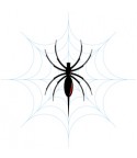 Blackwidow